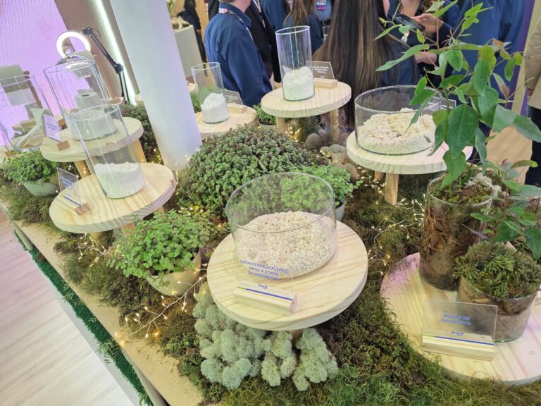 Exposição da Bracell apresenta etapas da produção sustentável de papel com elementos naturais e materiais derivados do eucalipto.