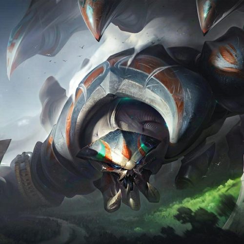 AVM DO SKARNER